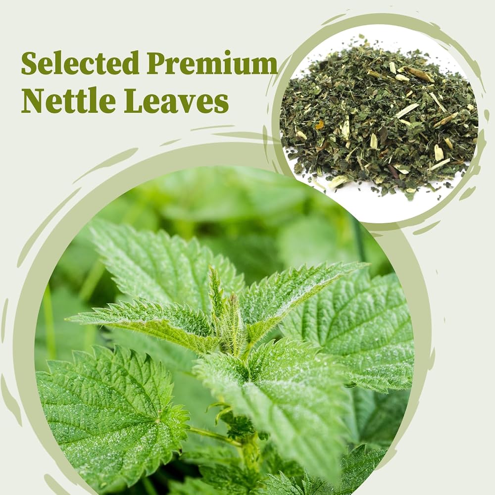 FullChea Nettle Leaf Tea Bags for Eye Health - 25 Count - image 2