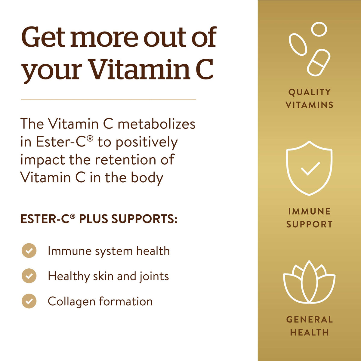 Solgar Ester-C Plus 1000 mg Vitamin C (Ascorbate Complex)