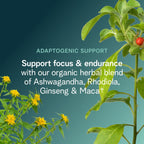 Ora Organic Natural Pre Workout Powder Raspberry Lemonade - 20 Servings - image 5