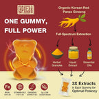 Sapotax Korean Red Panax Ginseng Supplement Gummies - Iron Supplements