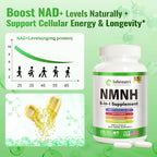 Ashenutri NMNH Supplement NAD+ Support - 120 Capsules - image 3
