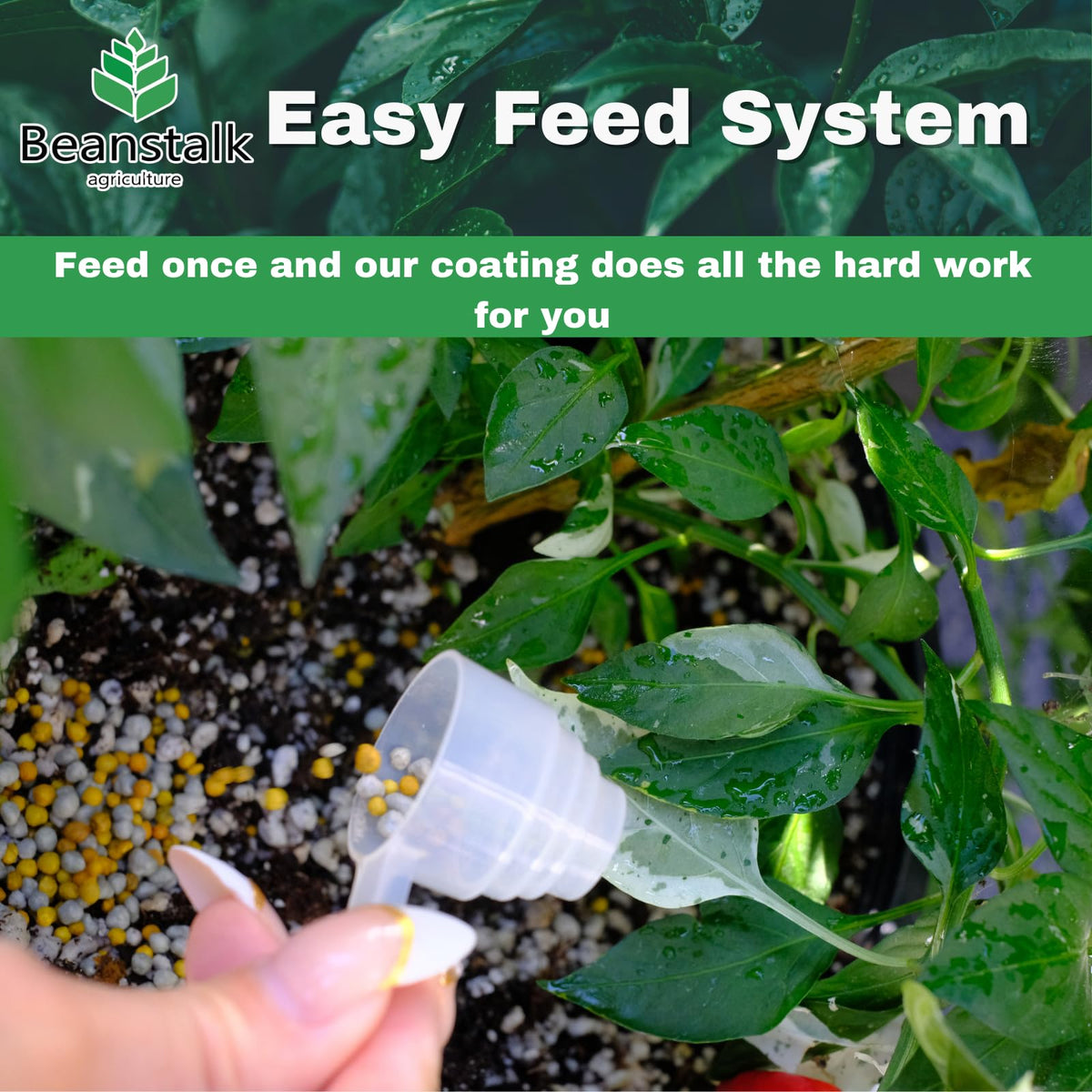 Beanstalk Agriculture Fortify 12-0-0 Calcium Nitrogen Additive - 3 Pound - image 3