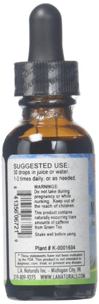 L A NATURALS Mental Master Cognitive Support Liquid - 1 Ounce - image 2