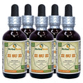 Herbal Terra LLC Zi Su Zi, Perilla (Perilla Frutescens) Tincture