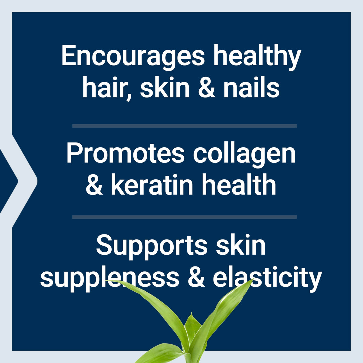 Life Extension Hair, Skin & Nails Collagen Plus - 120 Tablets - image 4