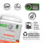 Sunwarrior Amino Acids Amino Energy Powder