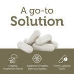 Zahler AdultFocus Advanced Formula for Focus & Concentration - 60 Capsules - image 4