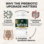 Spirit of The Forest Kefirito Daily Synbiotic Probiotic Prebiotic - 60 Capsules - image 6