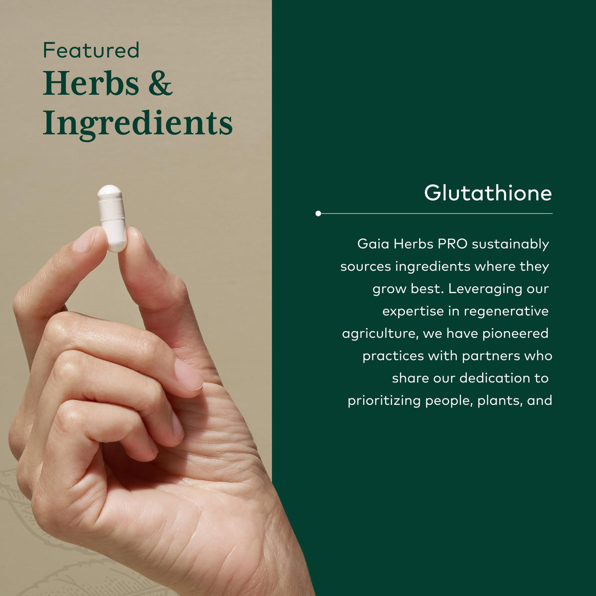 Gaia Herbs PRO Glutathione 500 Antioxidant - 30 Capsules - image 4