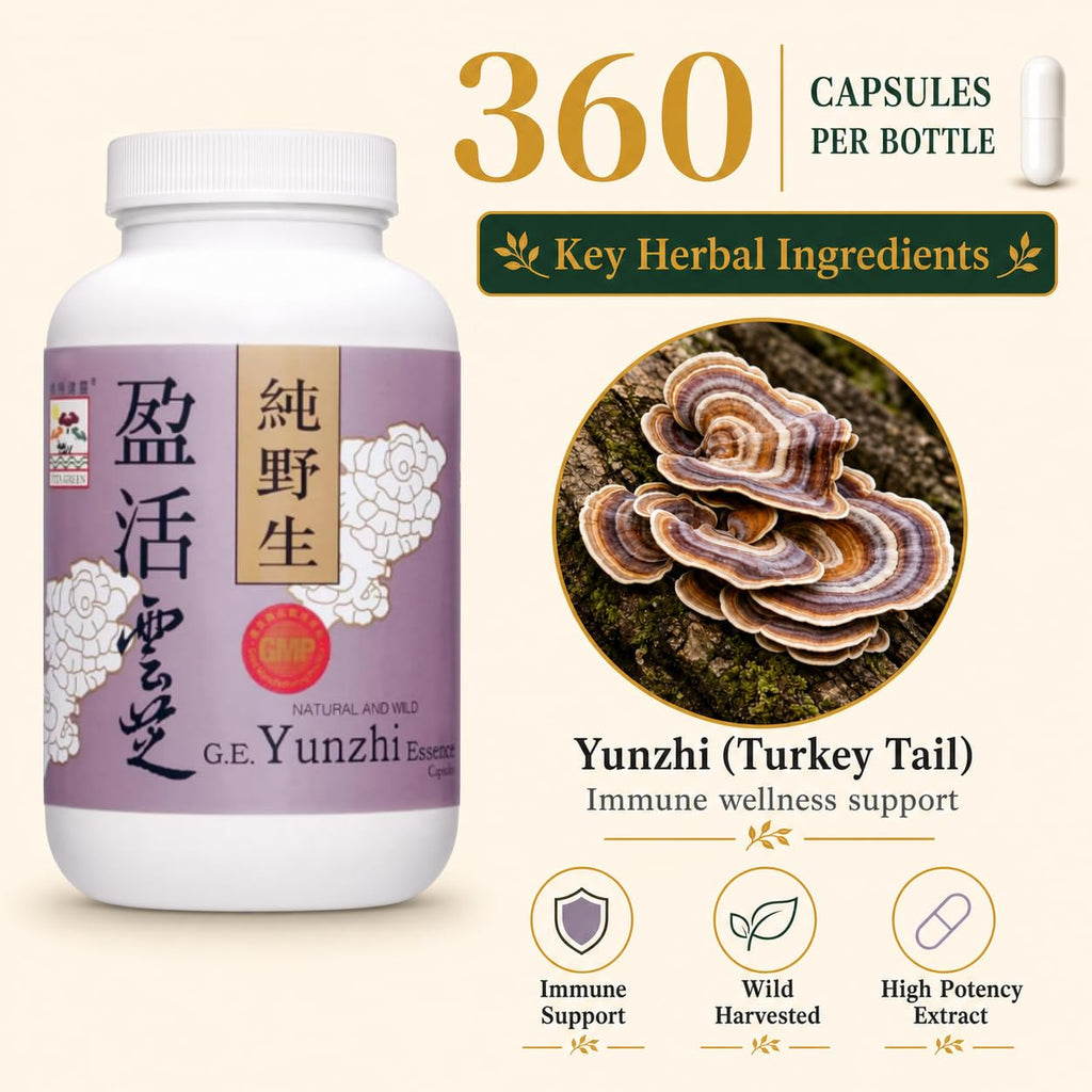 Vita Green Turkey Tail Mushroom