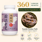 Vita Green Turkey Tail Mushroom