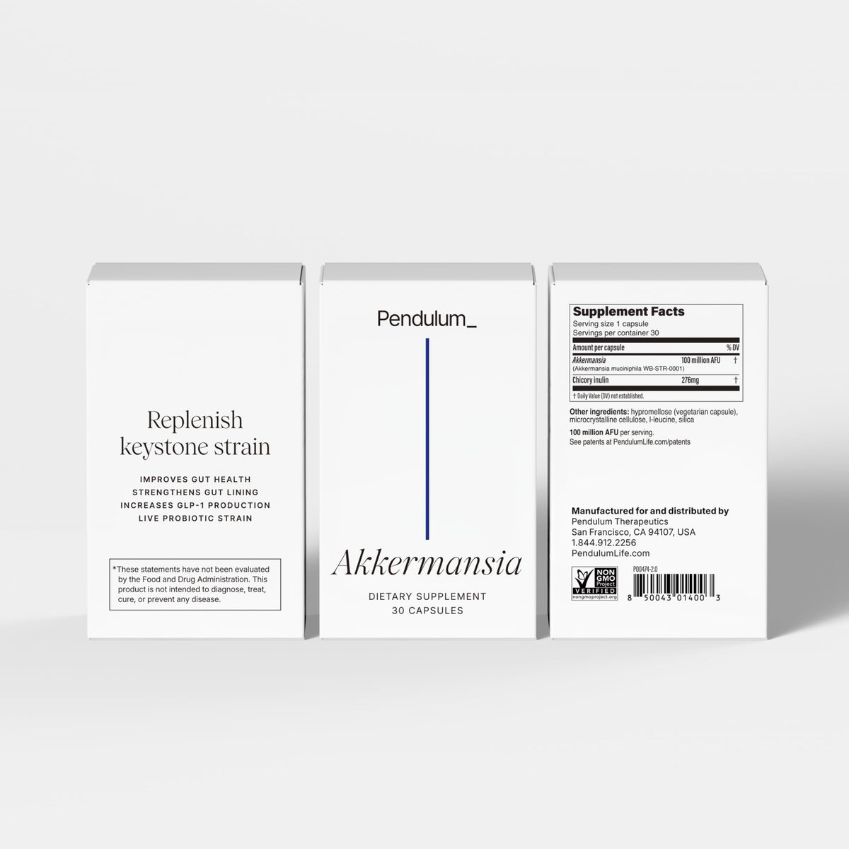 Pendulum Akkermansia