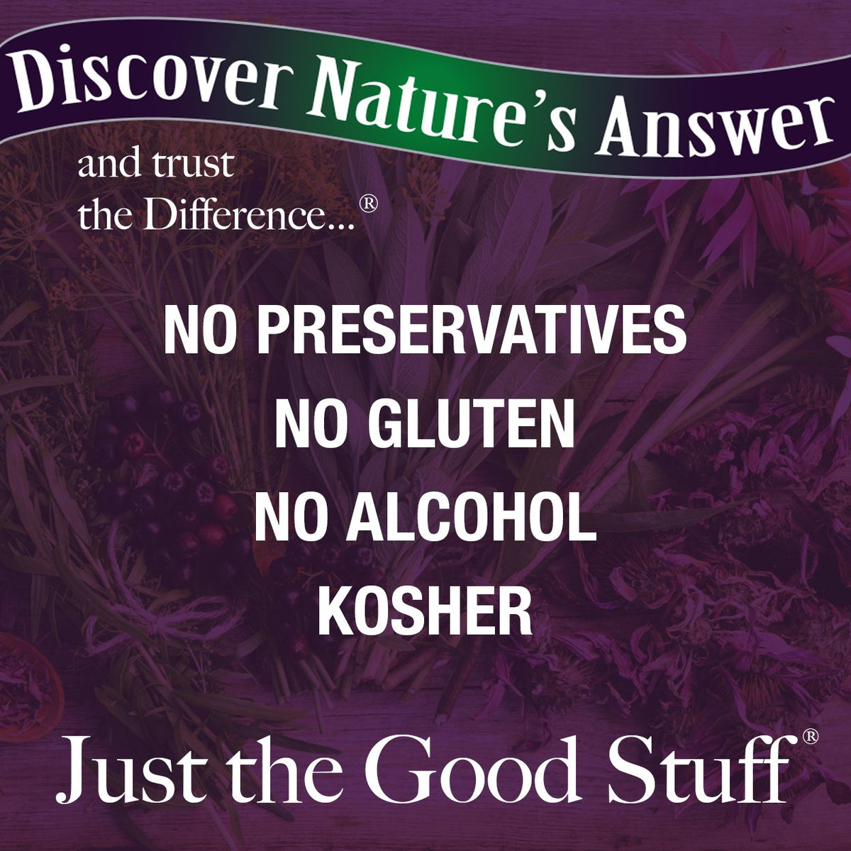 Nature's Answer Sambucus Elderberry Extract Immune Support - 16 Fl Oz - image 8