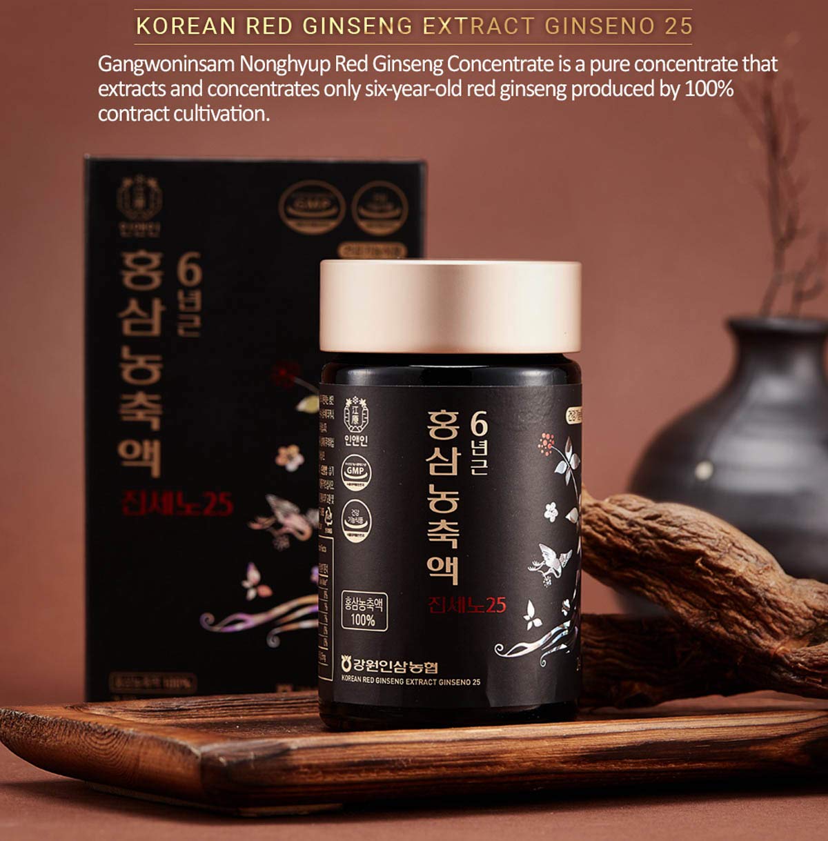Gangwoninsam Korean Red Ginseng Extract Ginseno25 - 240g - image 2