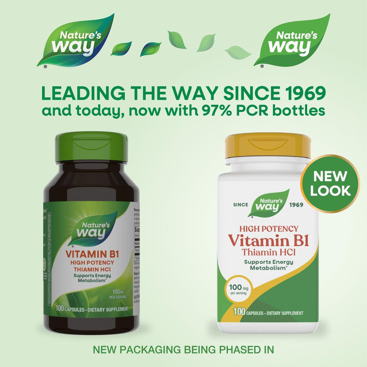Nature's Way Vitamin B1 Thiamine 100 Capsules - image 2