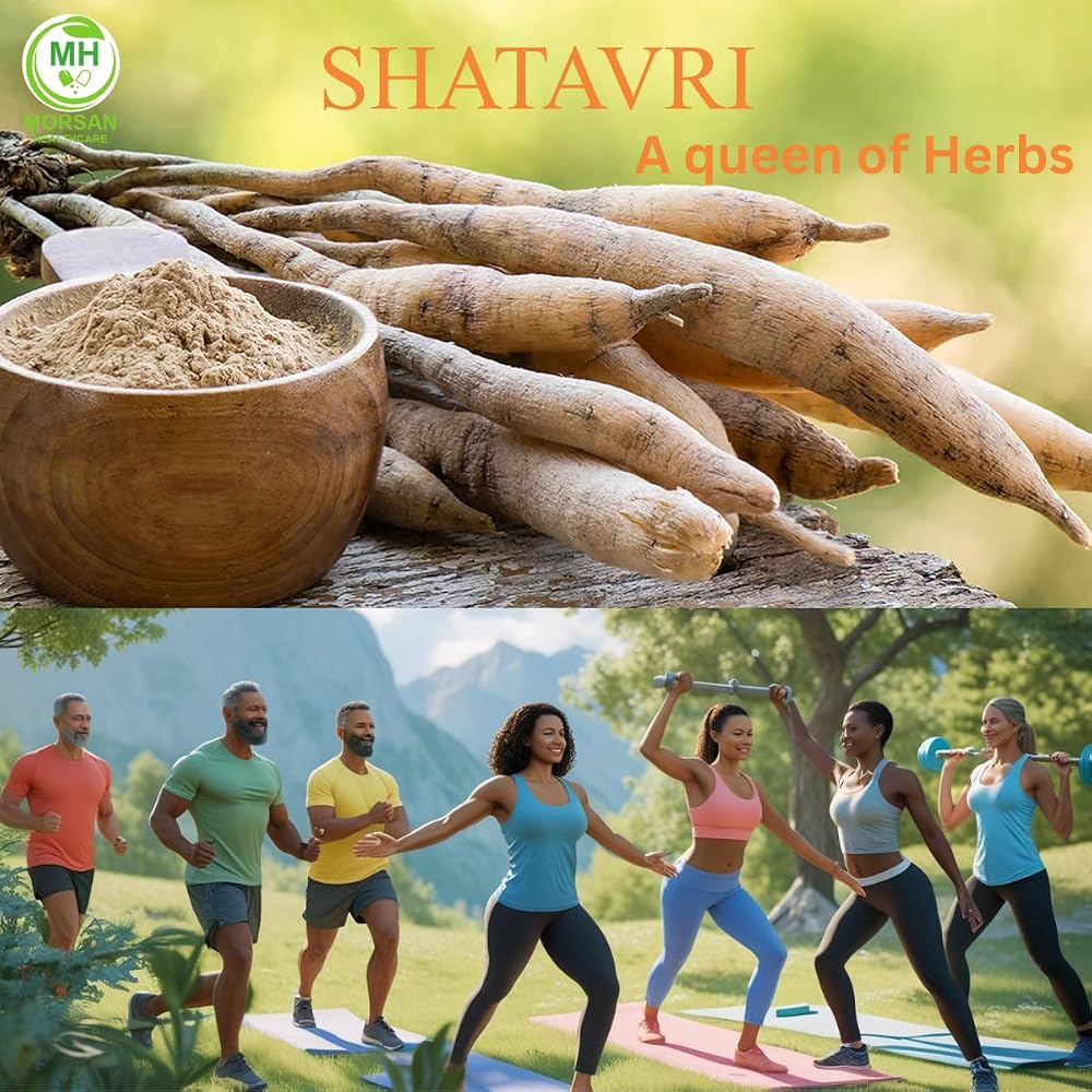 Morsan Healthcare Shatavari 500 mg Capsules - 60 Vegan Capsules - image 4