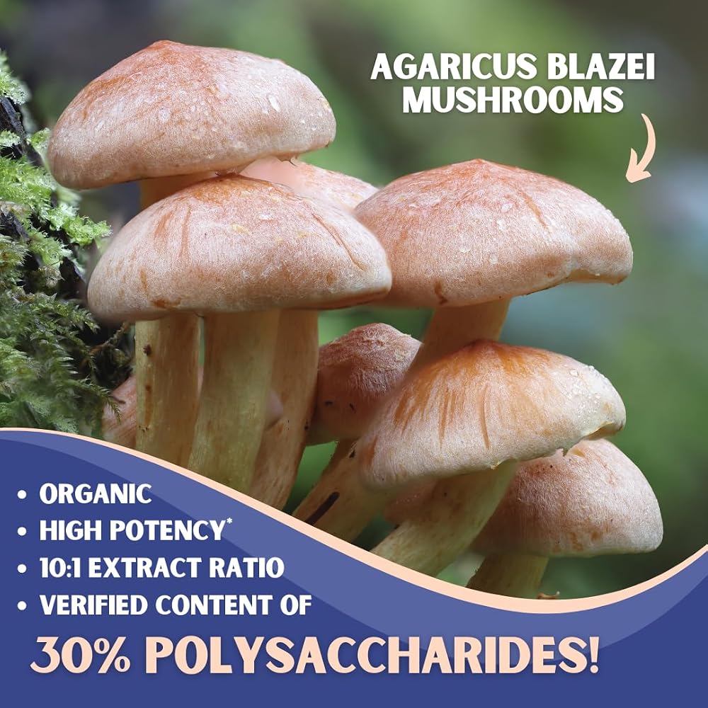 Nutriheim Agaricus Blazei Organic Mushroom Extract - 180 Vegetarian Capsules - image 3