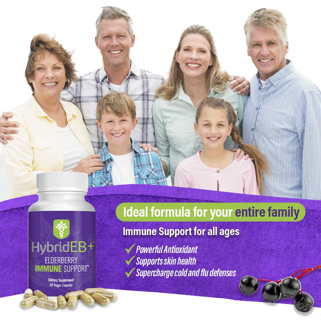 Hybrid Sambucus Elderberry Immune Support - 60 Vegetarian Capsules - image 3