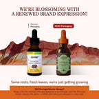 Herbs Etc. Loviral Liquid Extract Immune Response - 1 fl oz - image 2