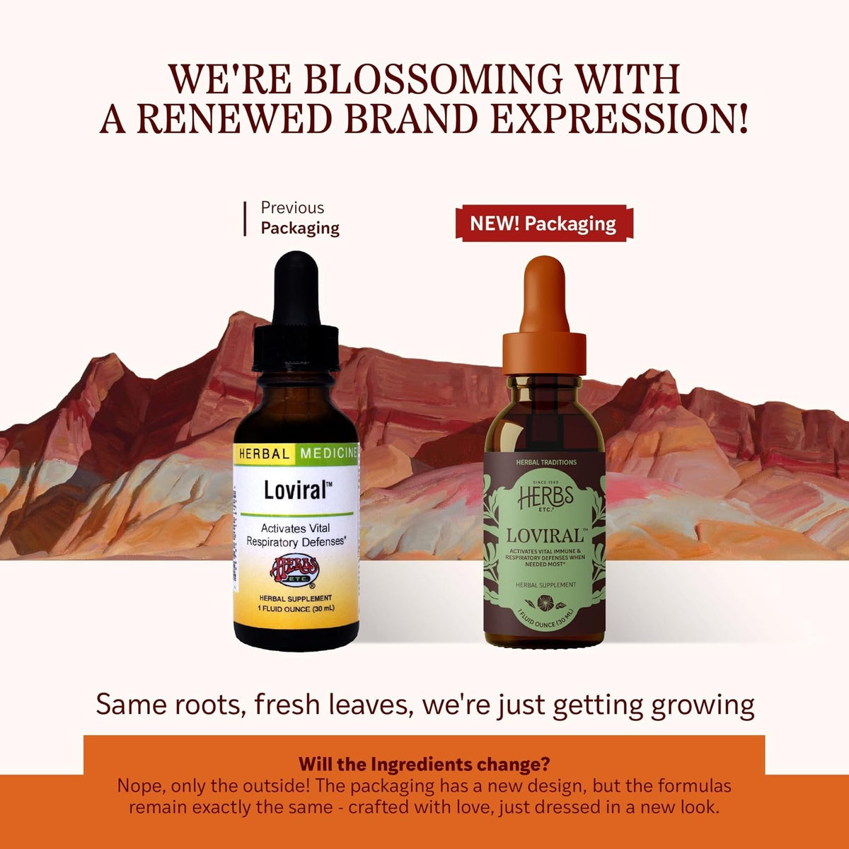 Herbs Etc. Loviral Liquid Extract Immune Response - 1 fl oz - image 2