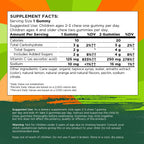Swanson Kids Vitamin C Gummies Immune Support Orange - 60 Gummies - image 4