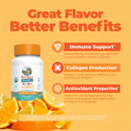 MARYRUTH'S Vitamin C Gummies
