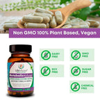Life Infused Metabolic Serrapeptase Enzymes - 90 Capsules - image 5