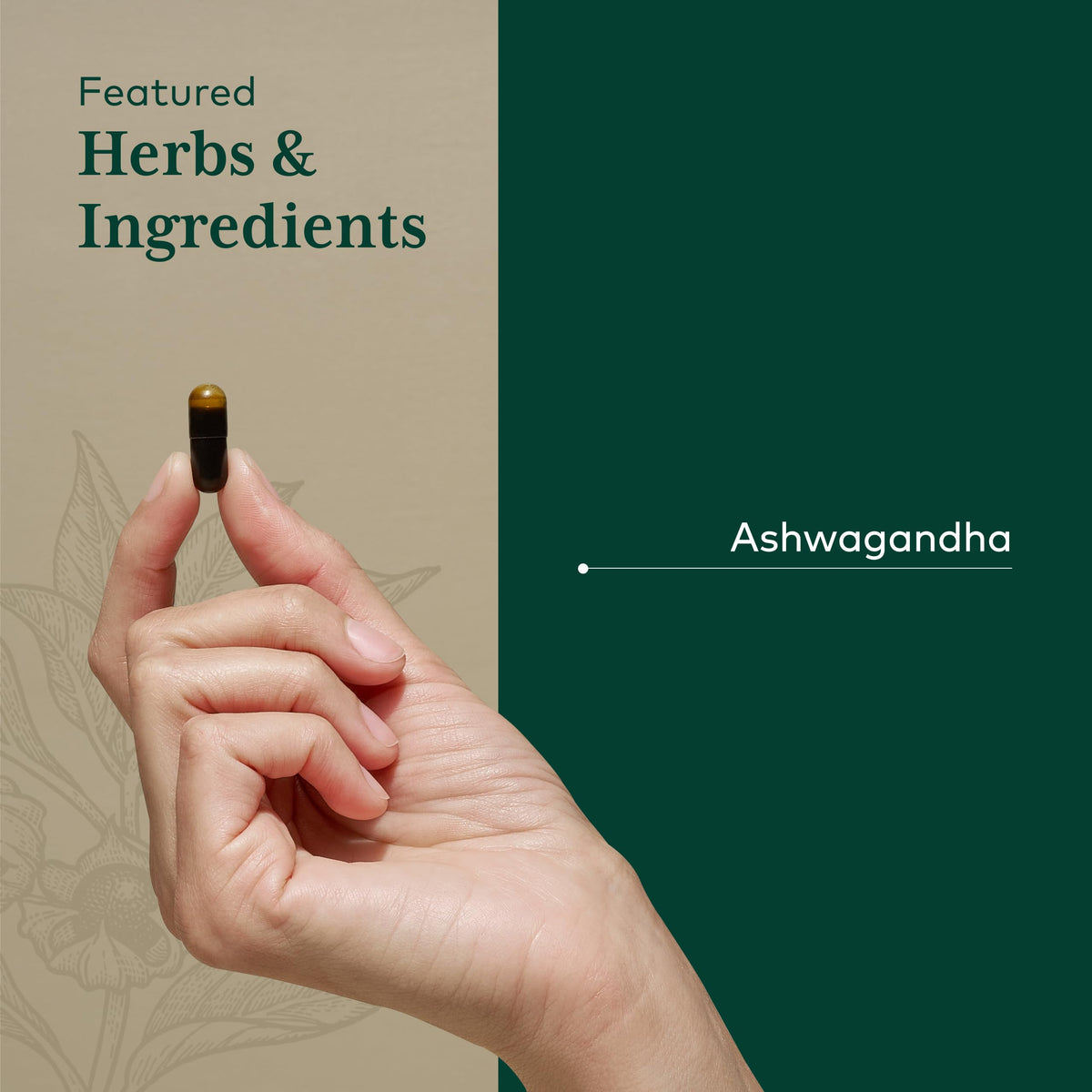 Gaia Herbs PRO Ashwagandha 700 Sleep & Energy Support - 120 Vegan Capsules - image 4