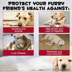 FSLHCY Iron Supplement for Dogs Liquid - 2 fl oz - image 2
