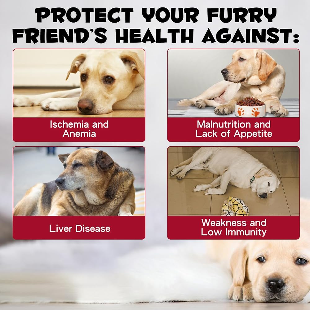 FSLHCY Iron Supplement for Dogs Liquid - 2 fl oz - image 2