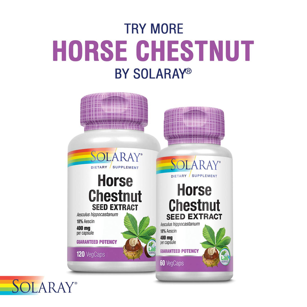 SOLARAY Circulegs Horse Chestnut Supplement - 60 Vegetarian Capsules - image 7