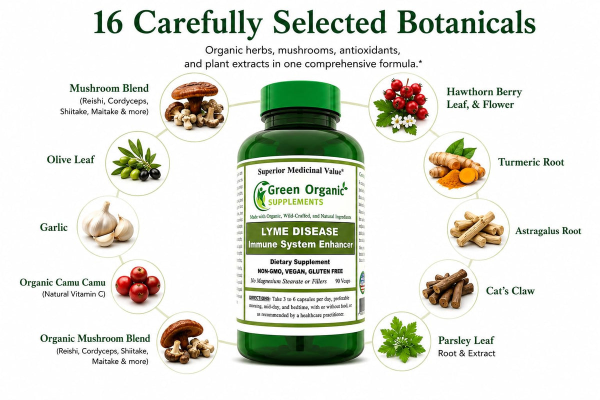 Green Organic Supplements Immune System Enhancer - 90 Capsules - image 2