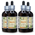 Herbal Terra LLC Malva (Malva sylvestris) Tincture