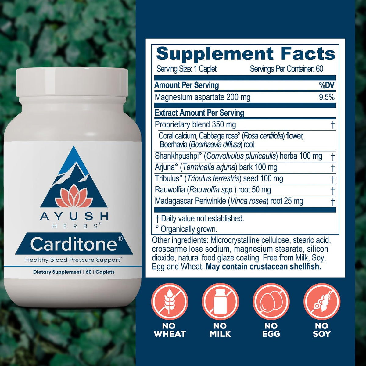 Ayush Herbs Carditone BP Formula Herbal Supplement - 120 Capsules - image 3