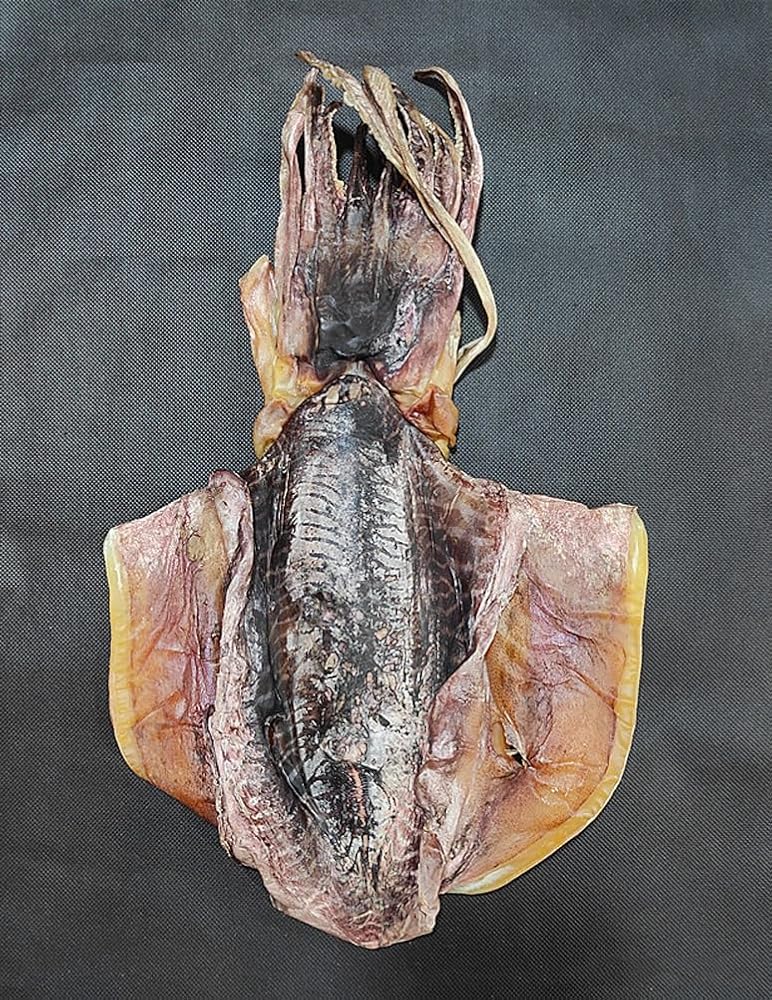 RMEIGUI Dried Cuttlefish Moyugan