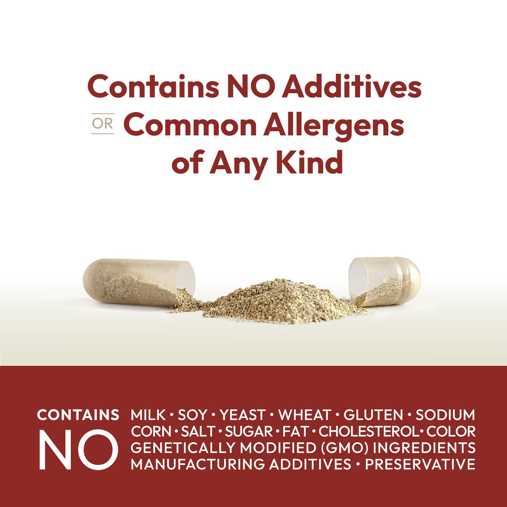 ANDREW LESSMAN Vitamin B12 500 Capsules - Absorption-Protected