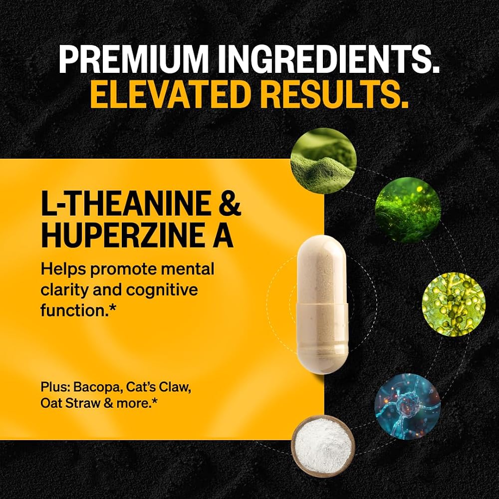 ONNIT Alpha Brain & Total Human Bundle for Focus & Wellness - image 4