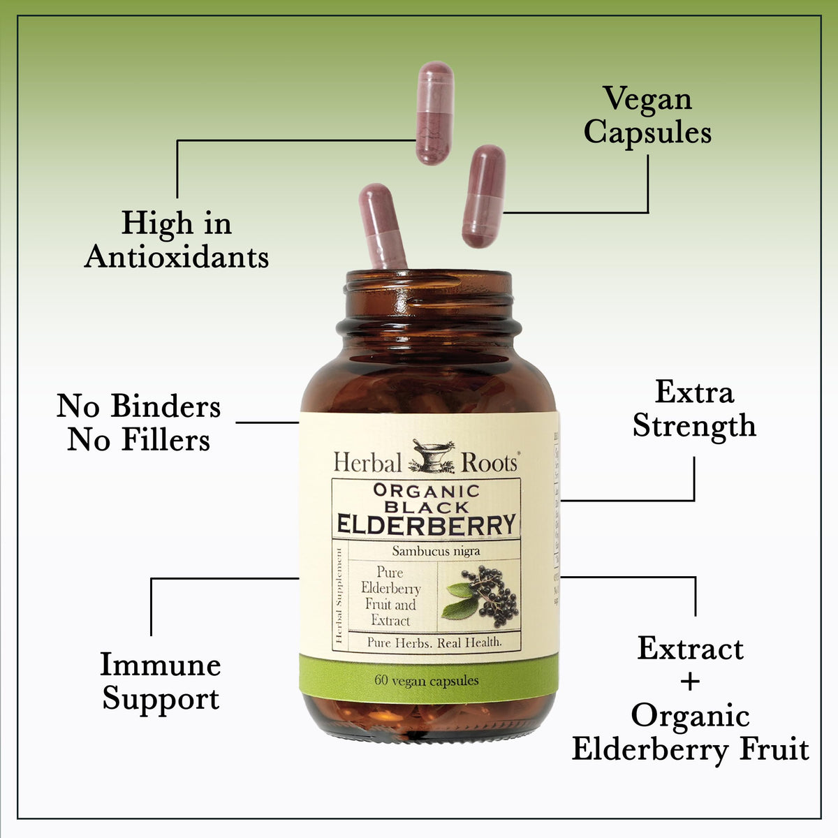 Herbal Roots Organic Black Elderberry Capsules Immune Support - image 4