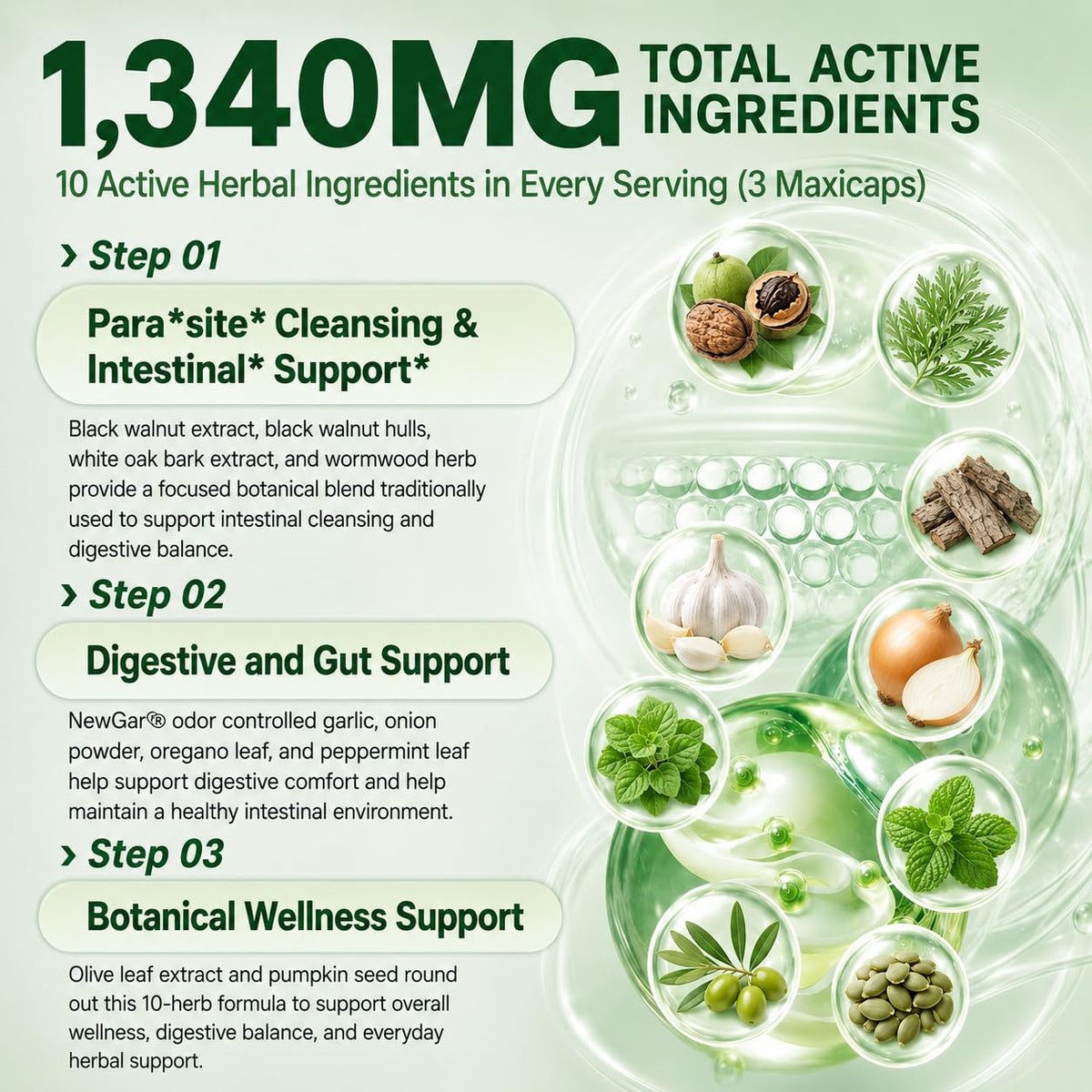 Maxi Health Wormwood Black Walnut Clove Complex 1340mg - 90 Capsules - image 4
