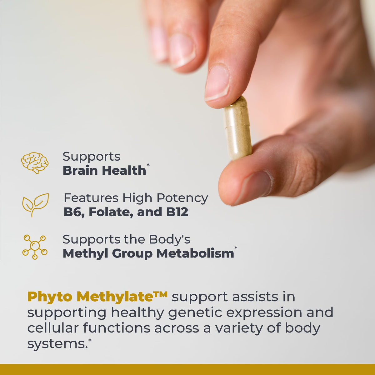 Premier Research Labs Phyto Methylate B-Complex - 60 Capsules - image 4