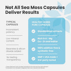 Healthy Herbs Pure Irish Sea Moss Capsules - 120 Count (2-Pack) - image 6