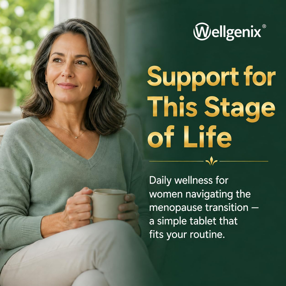 Wellgenix Menocet Plus - Menopause Supplement Designed to Address All