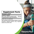 NaturesPlus Herbal Actives Milk Thistle - 60 Capsules - image 4