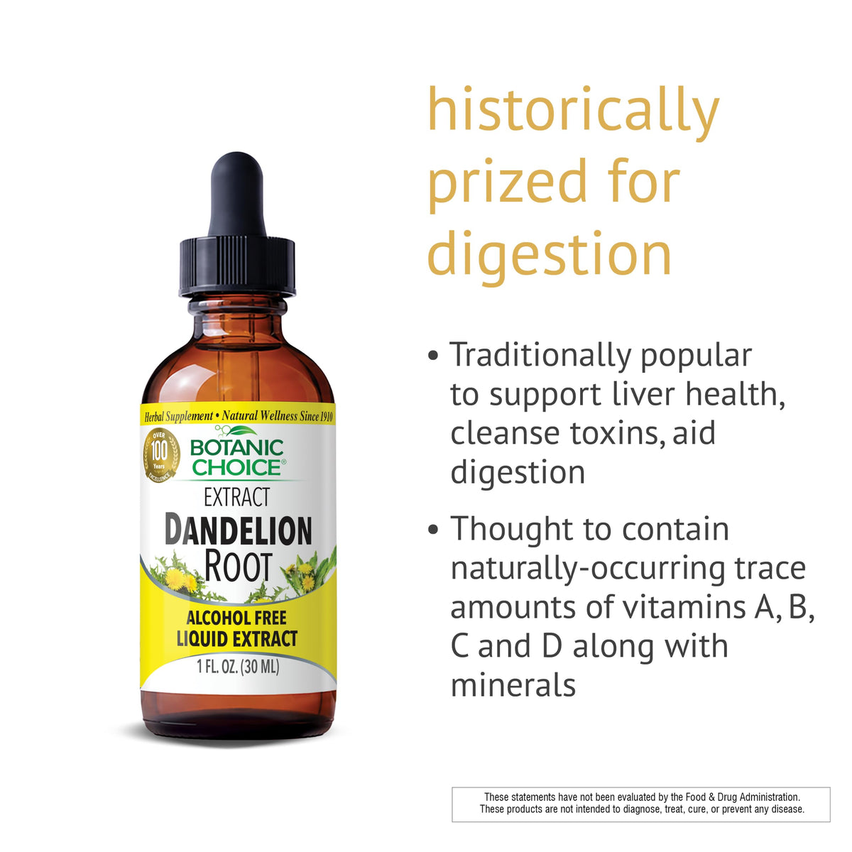 Botanic Choice Dandelion Root Liquid Extract Alcohol Free - 1 fl oz - image 3