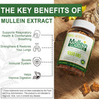 NEVISS Mullein Leaf Extract 1000mg for Lung Cleanse