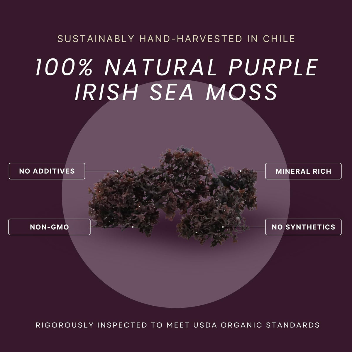 Red's Pure Botanicals Irish Moss Chondrus Crispus - 2 oz - image 2