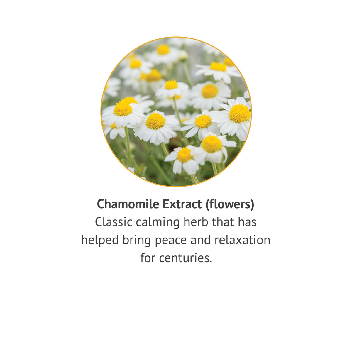 Botanic Choice Chamomile Flower Alcohol Free Liquid Extract - 1 Fl Oz - image 4