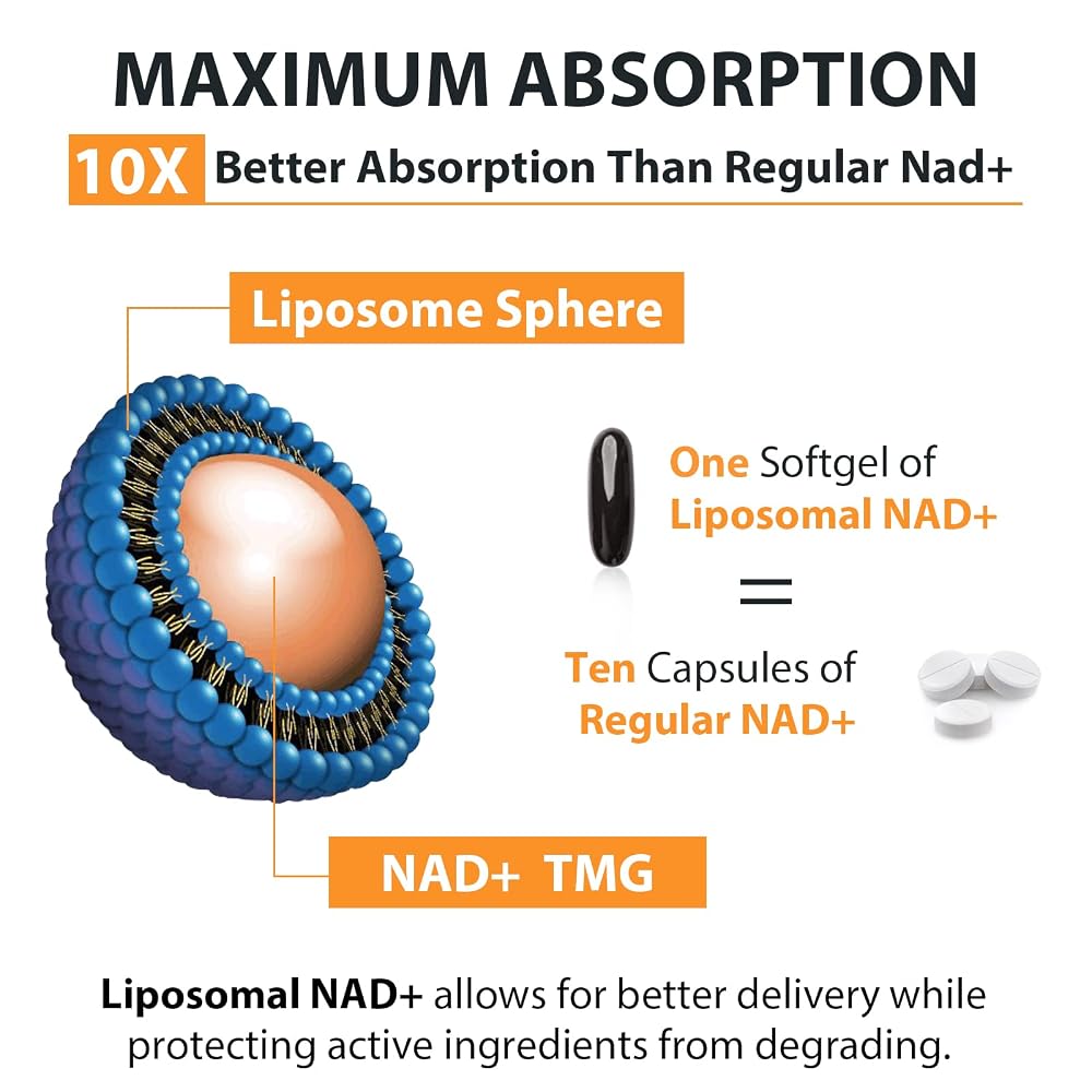 Orgabey Orgabay Liposomal NAD+ Supplement 500 mg - image 6