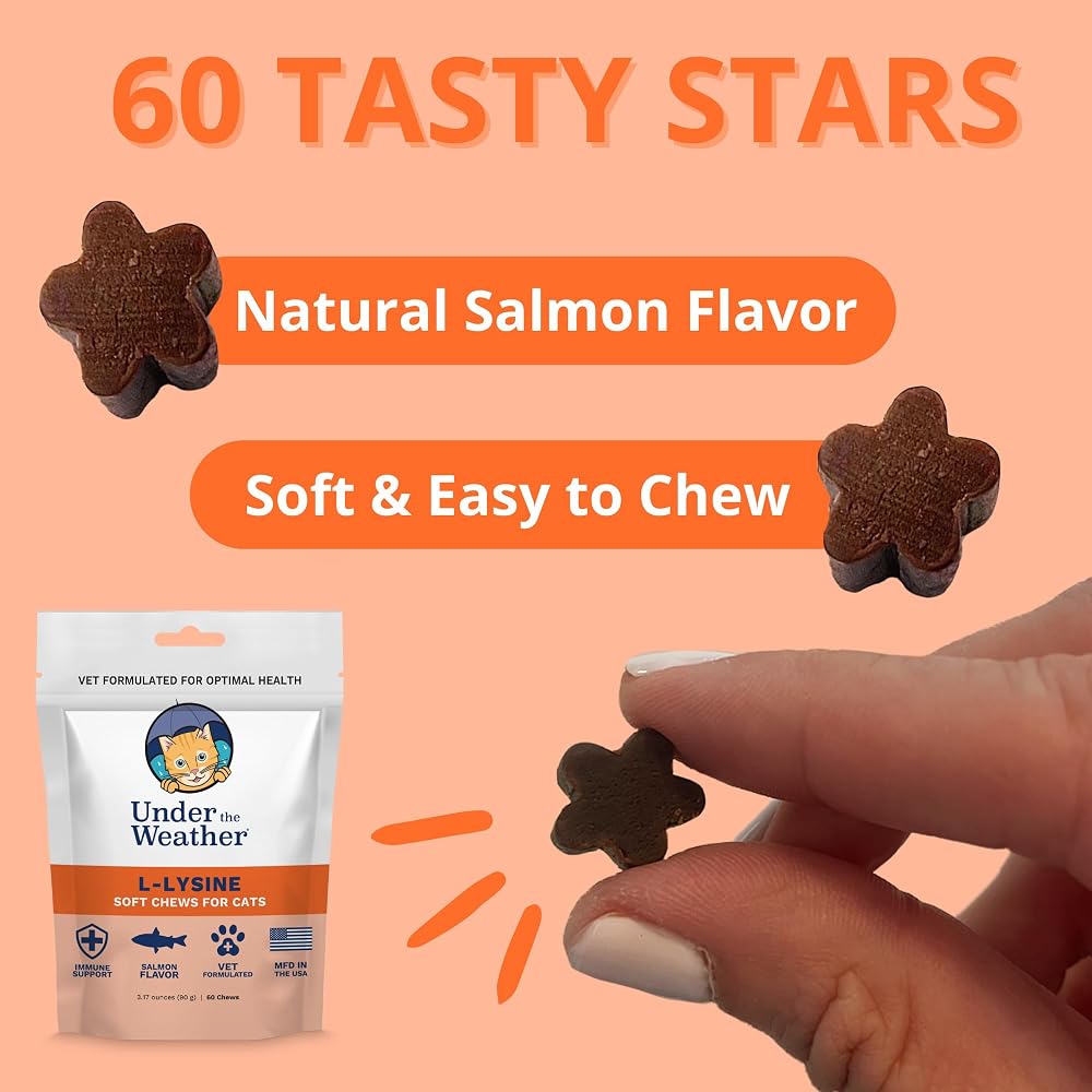 Under the Weather Pet Daily Cat L-Lysine Immune Support - 60 Chews - image 3