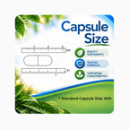 Elevate Recovery Thyroid Support Supplement - 180 Capsules - image 6